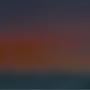 Meet your Posher, Bailey